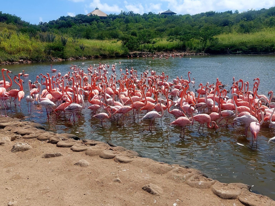 Island Vibe Destinations-Spanish Town必去景点