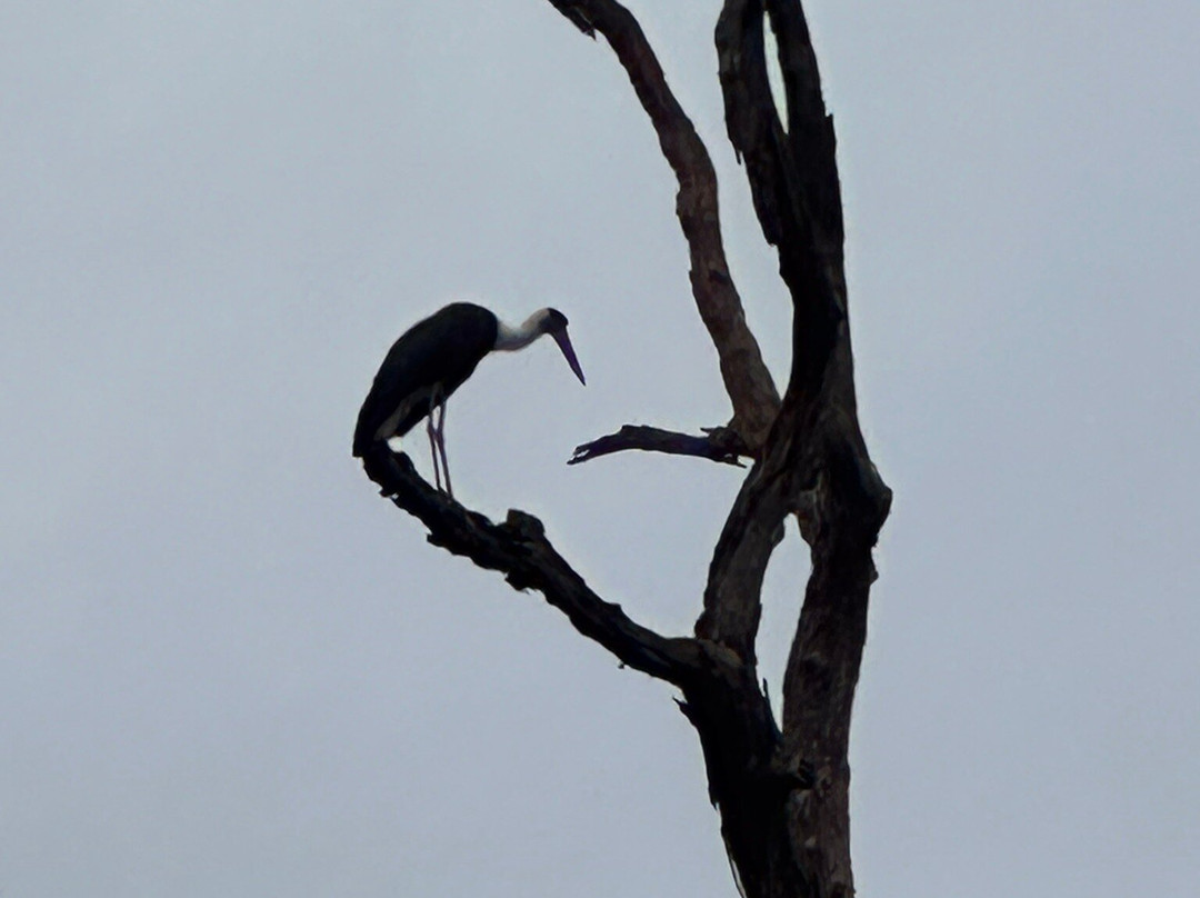 Assam Bengal Navigation-古瓦哈提必去景点