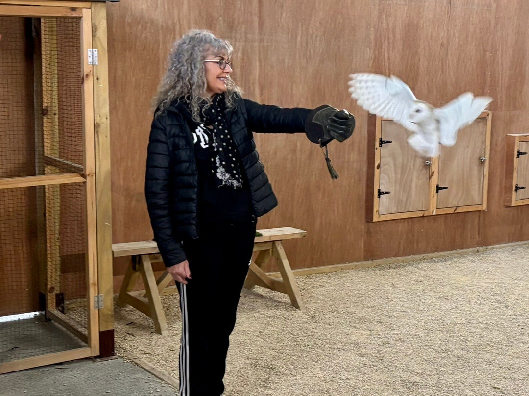 The Bird Of Prey Project-巴斯必去景点