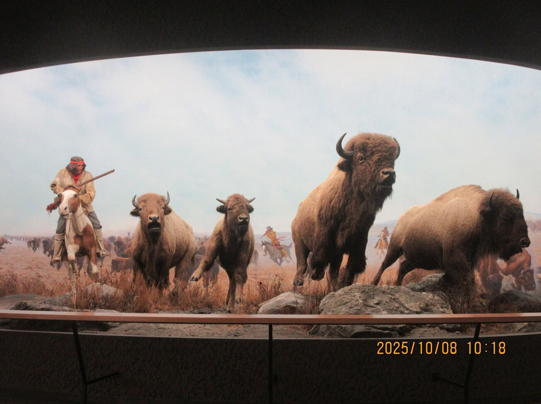 Manitoba Museum-温尼伯必去景点