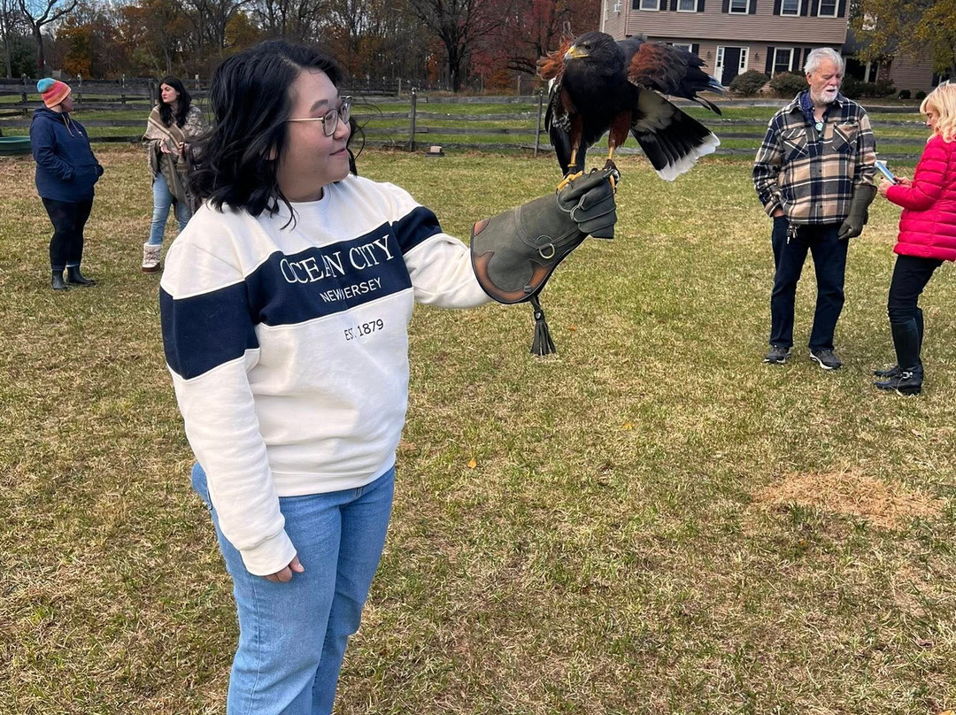 Masters Of The Skies-霍利必去景点