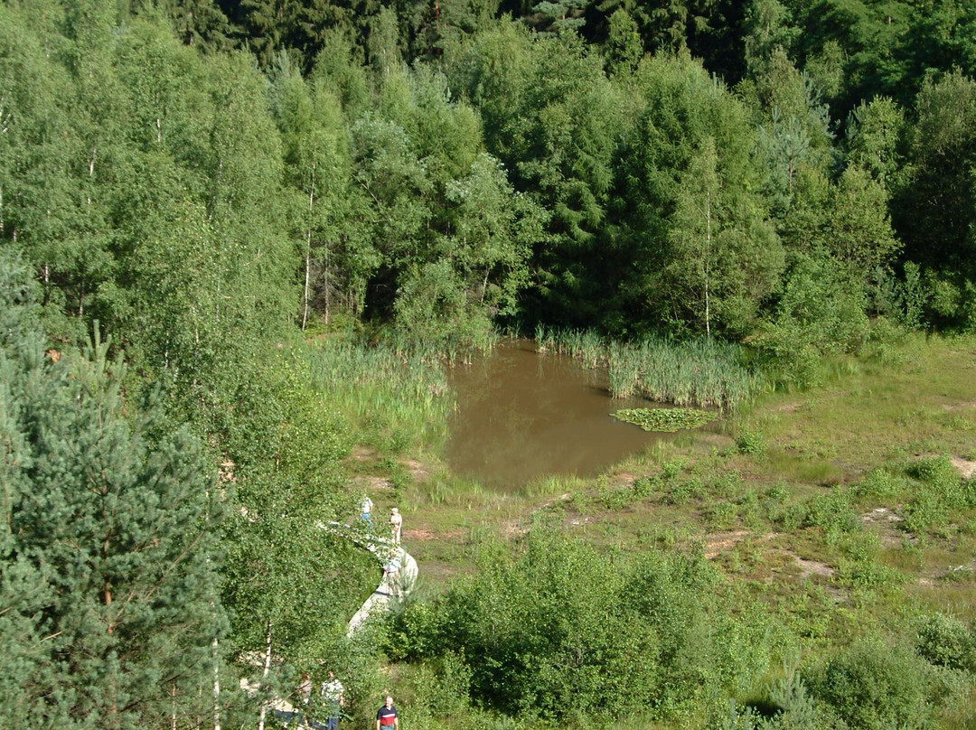 Litermont-Gipfel-Tour-Nalbach必去景点