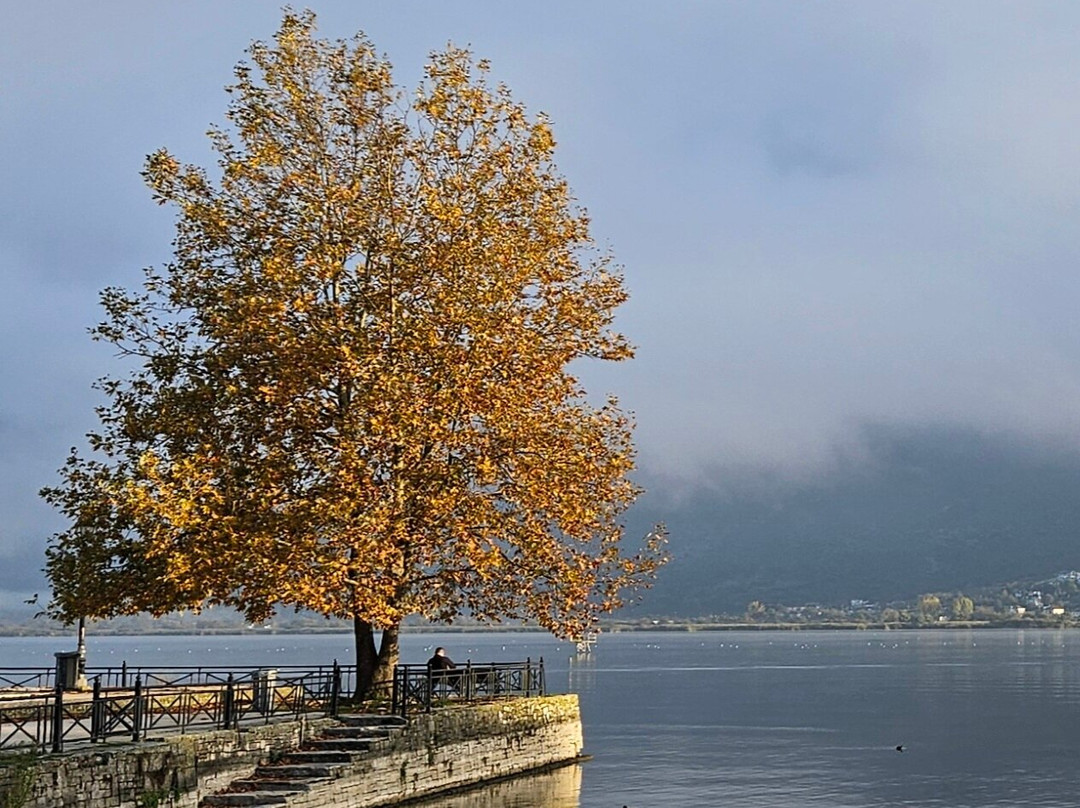 Lake Pamvotis-约阿尼纳州必去景点