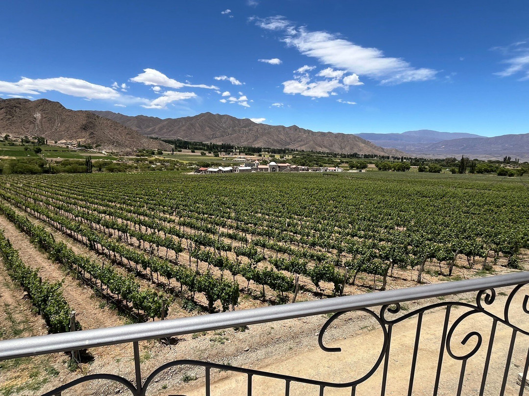 Bodega Puna-卡奇必去景点