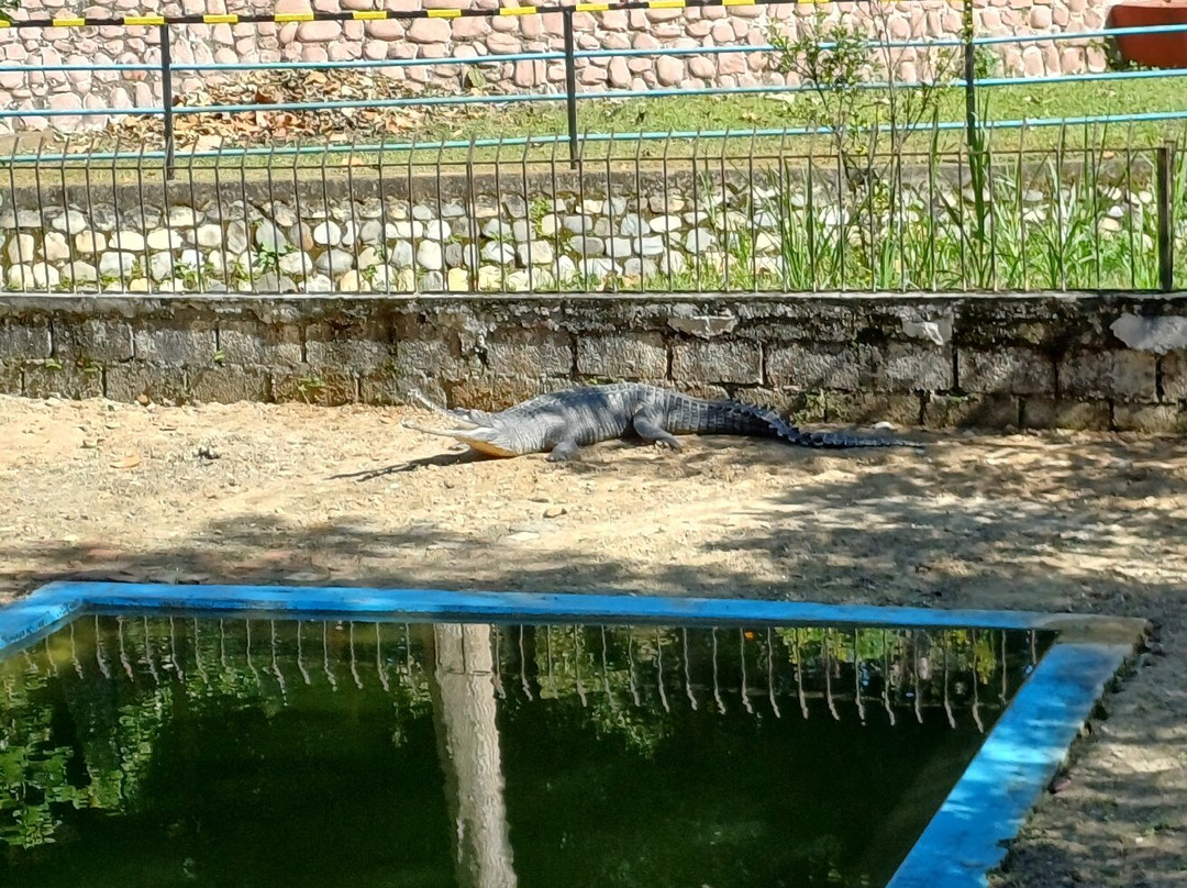 Martyr Memorial Park-Hetauda必去景点