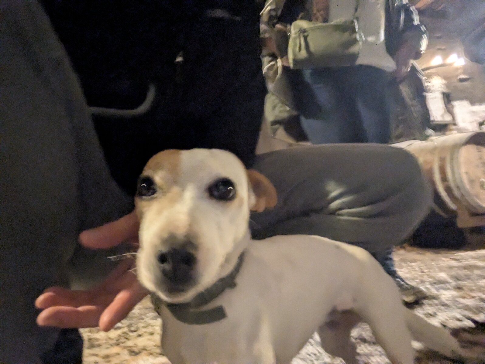 帕拉达城堡酒店-官方