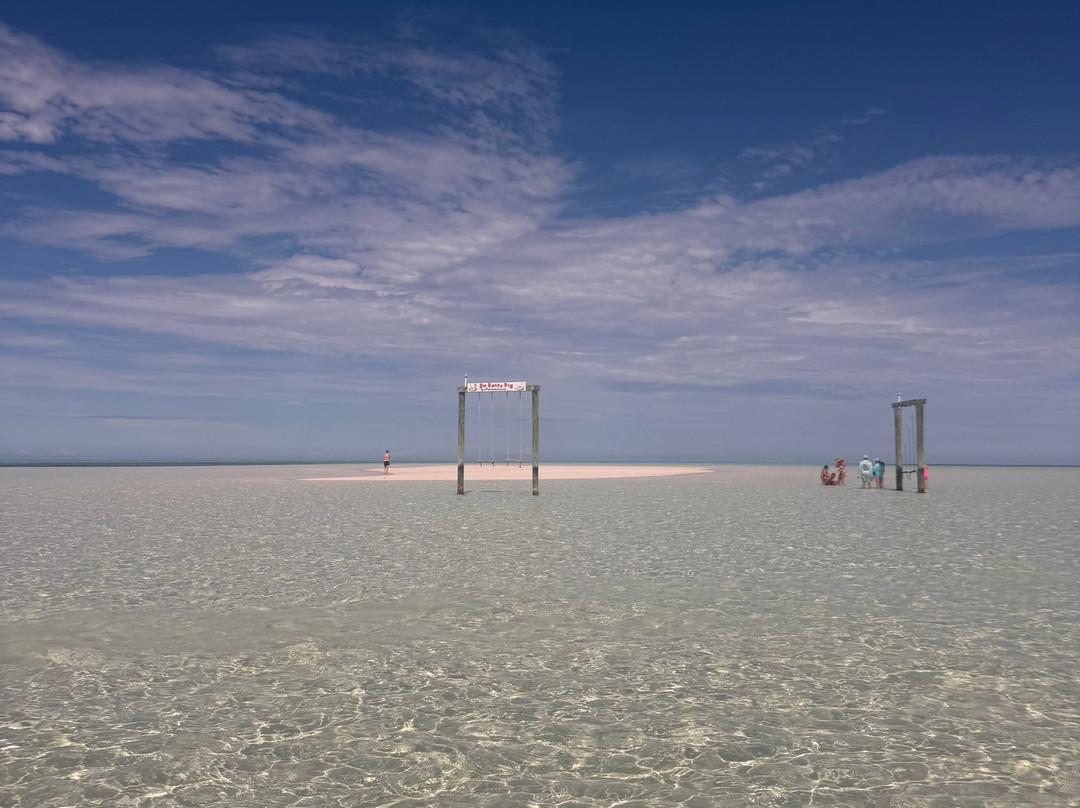 Da Salty Pig Adventures-Spanish Wells必去景点