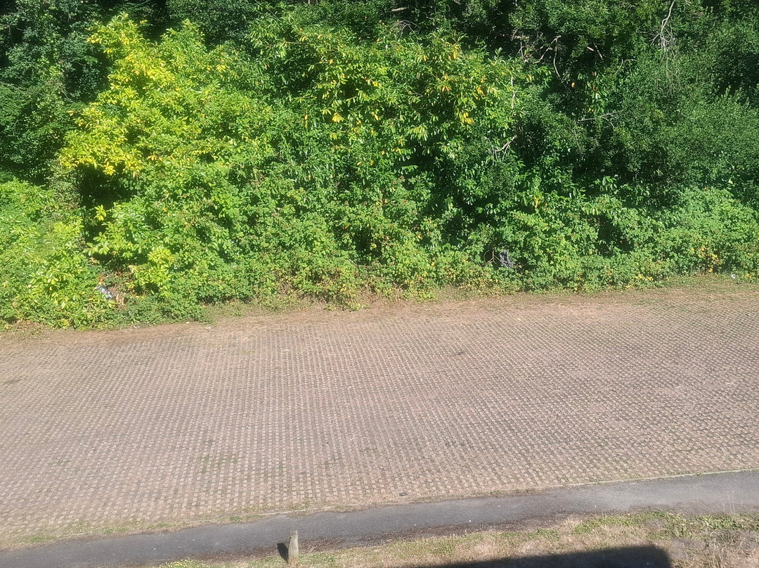 Travelodge Frimley主图