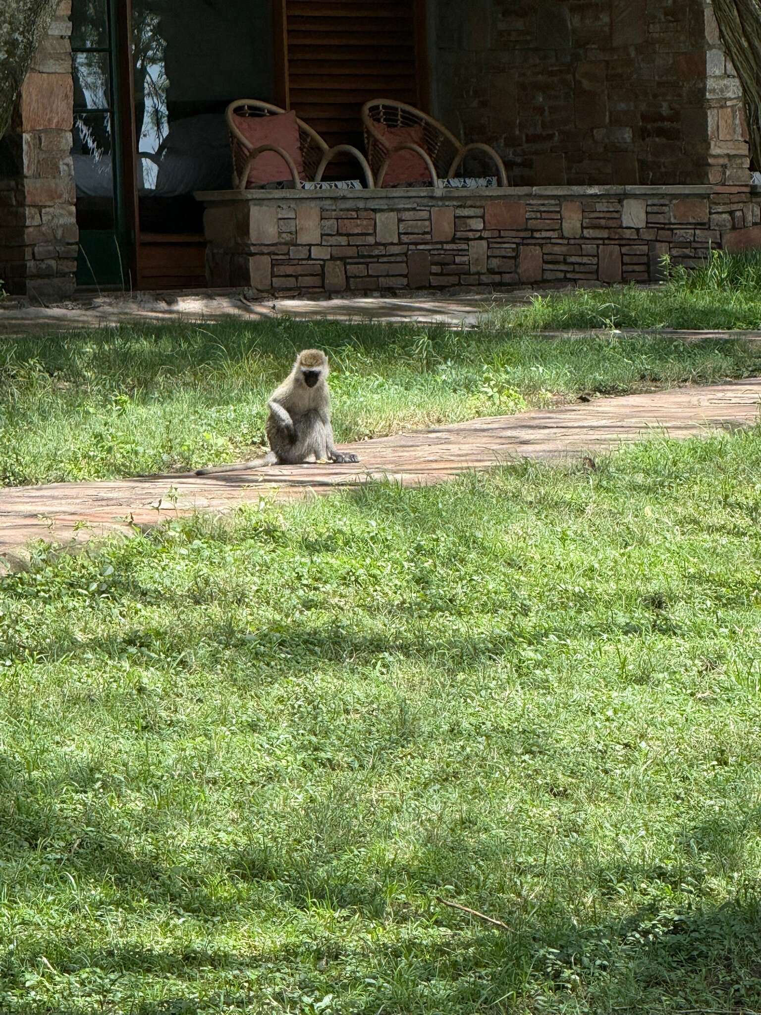 Muthu Keekorok Lodge-官方
