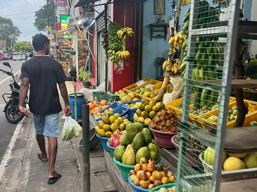 Riu Lanka Tours & Travels-亚洪加拉必去景点