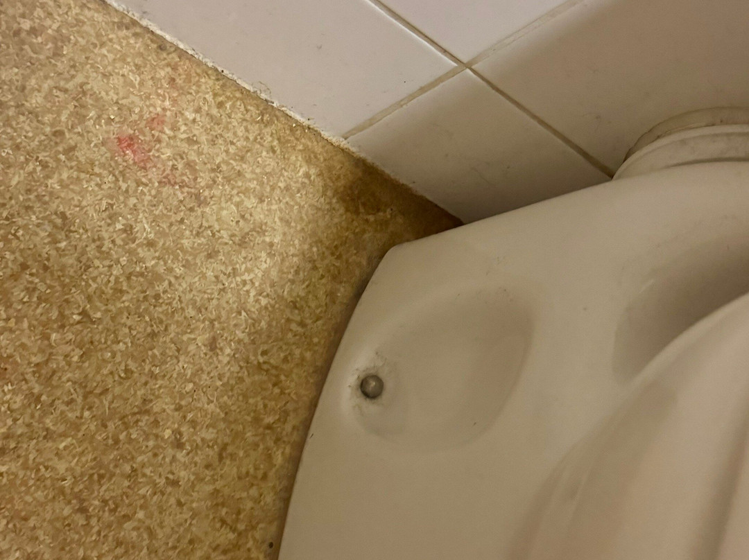 The Halfway House Inn Country Lodge主图