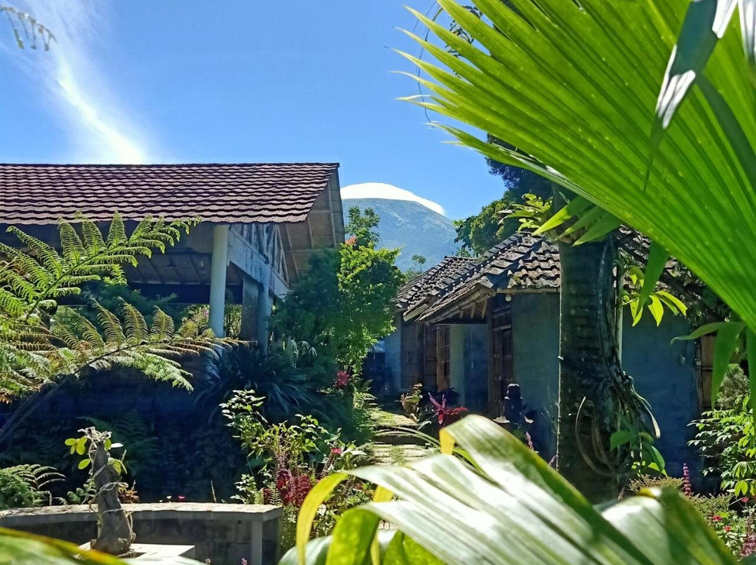 Wonosobo酒店住宿-Sendangsari Bamboo Homestay