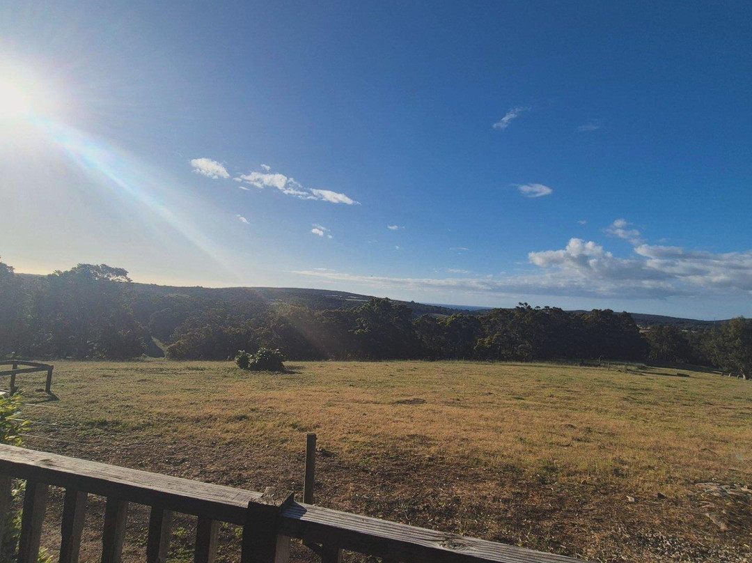 野木山谷酒店主图