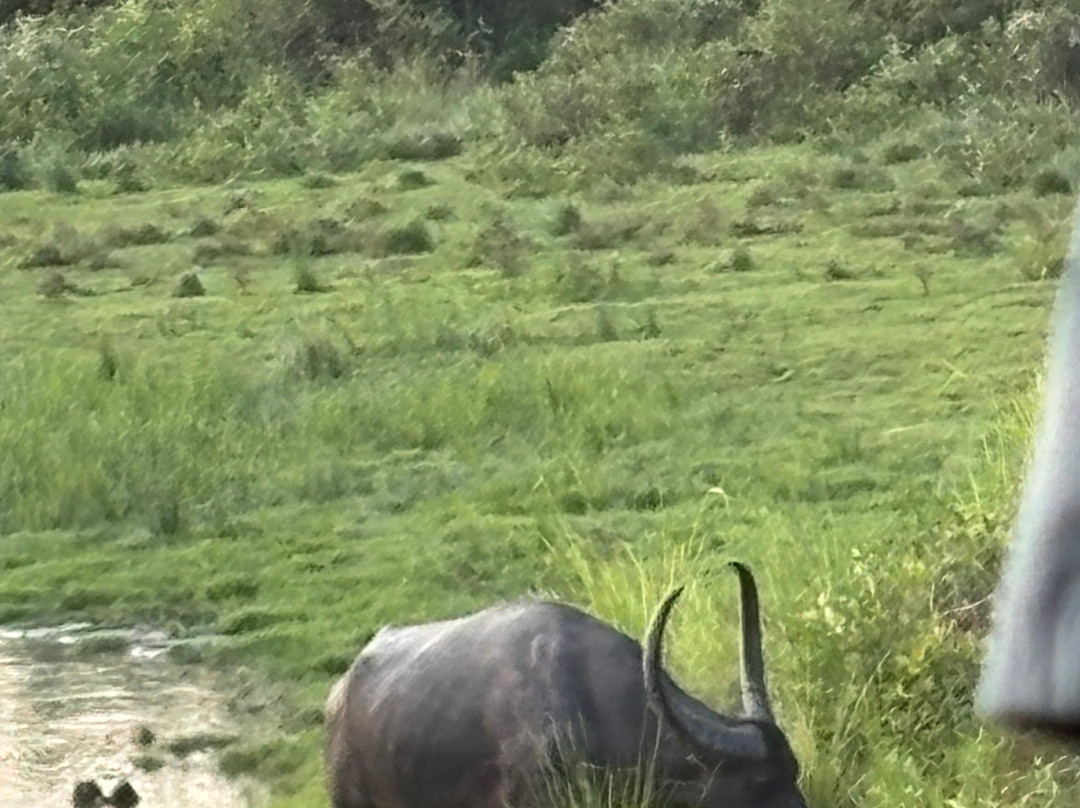 Kaziranga National Orchid And Biodiversity Park-Hatikhuli必去景点