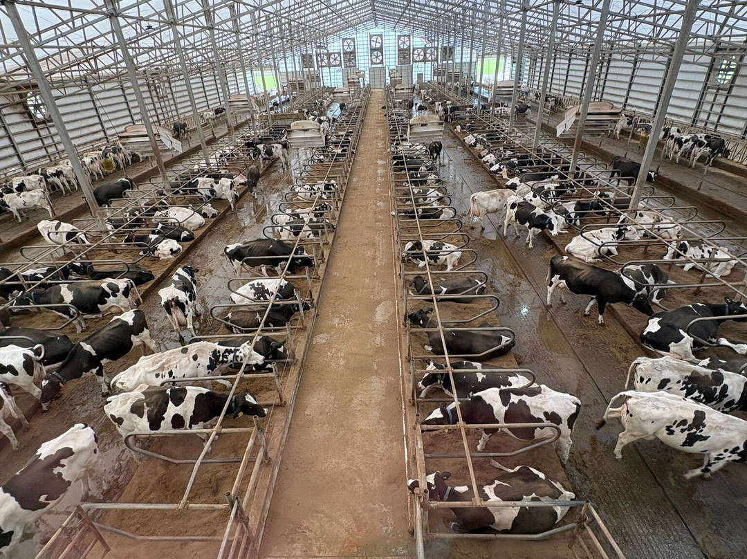 Fair Oaks Farms-Fair Oaks必去景点