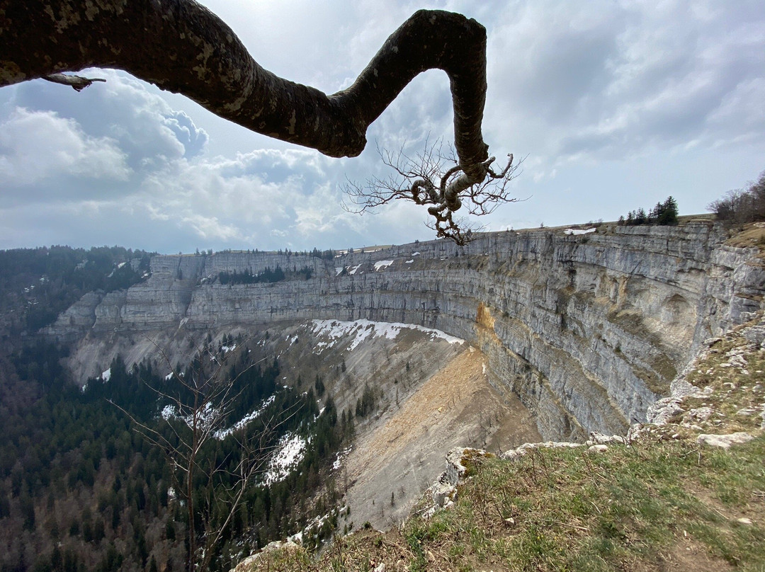 Motiers酒店住宿-Jurabelle