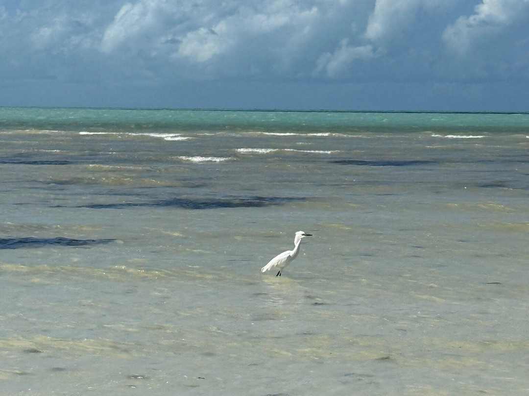 Playa Punta Cocos-Holbox Island必去景点