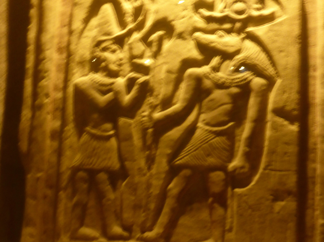 Crocodile Museum-Kom Ombo必去景点