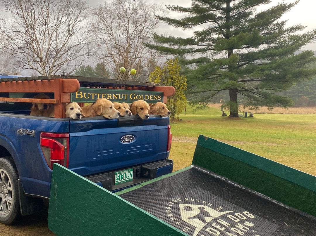 Golden Dog Farm-Jeffersonville必去景点