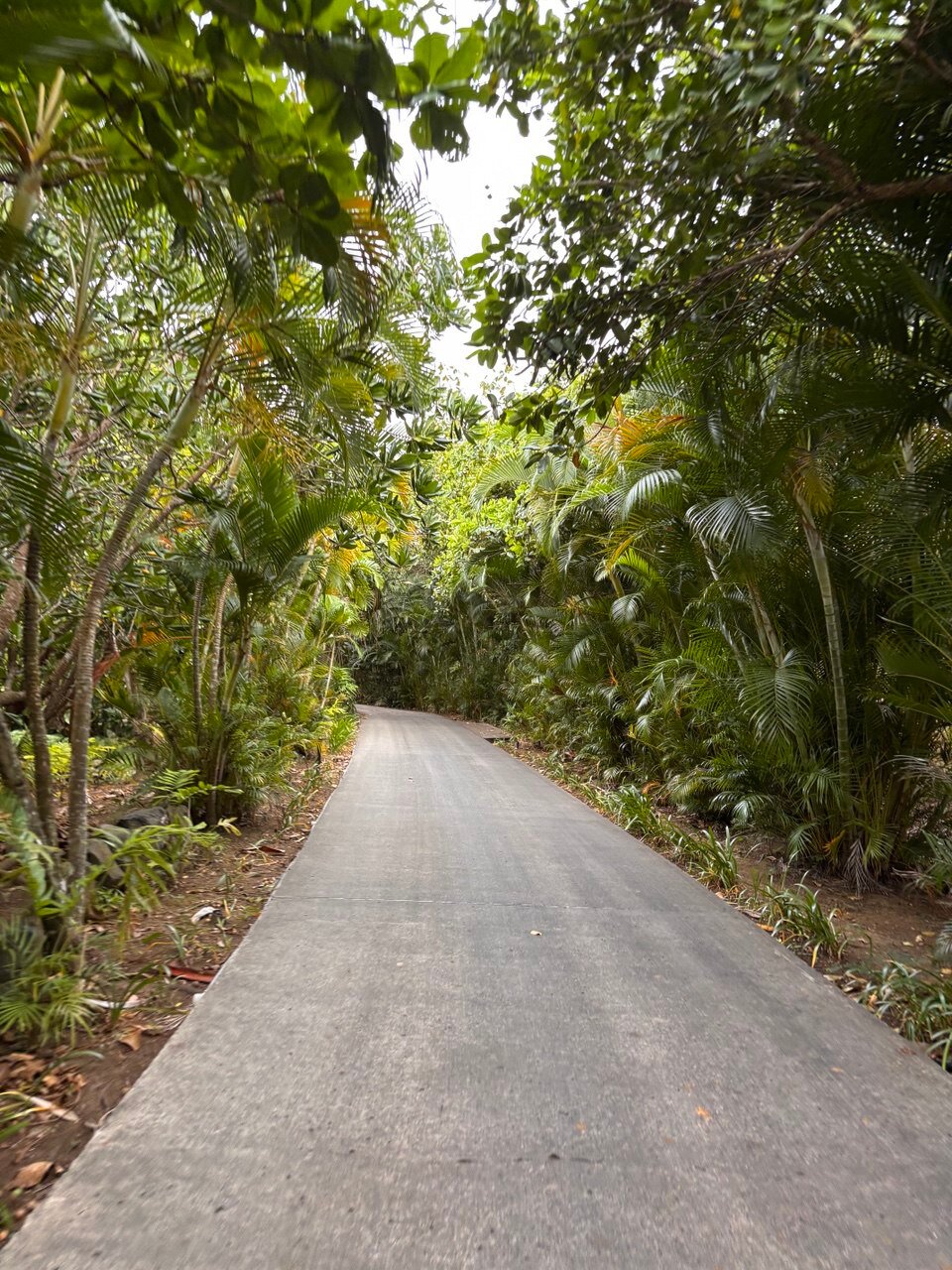斐济高尔夫洲际度假酒店-浴室