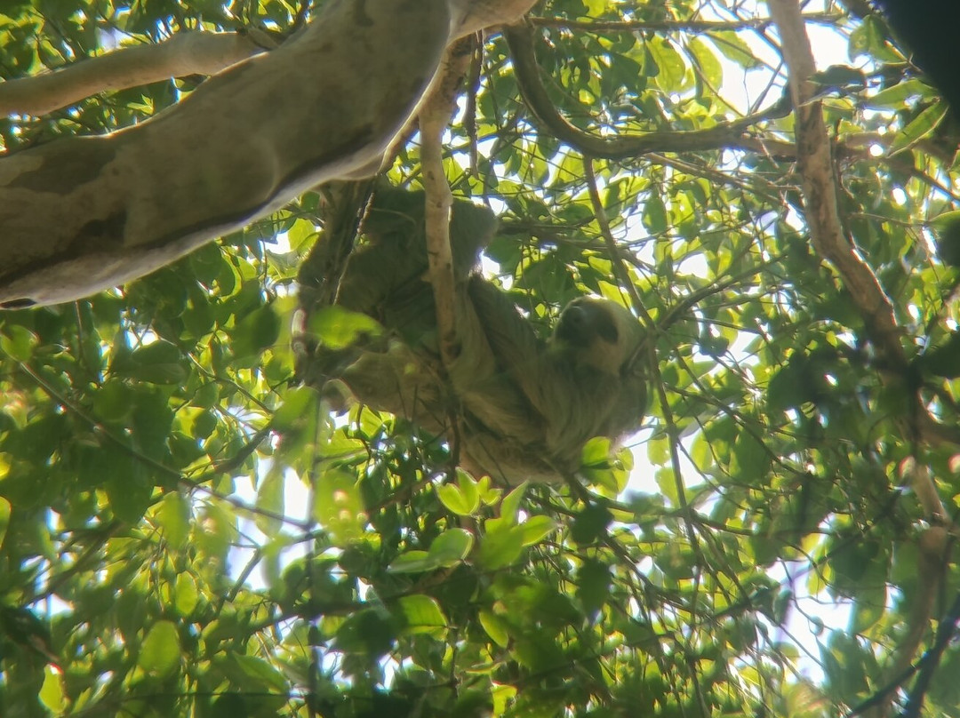 Corcovado Hiking Tours-希门尼斯港必去景点