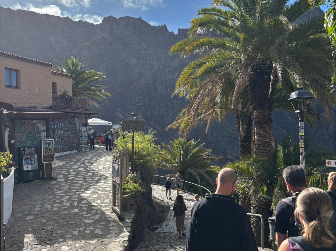 Canarias Nature Guides-Tegueste必去景点