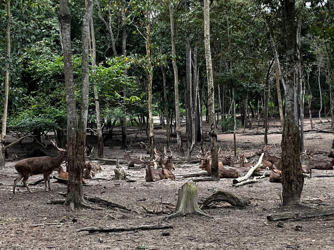 Wildlife Friends Foundation Thailand-他央必去景点