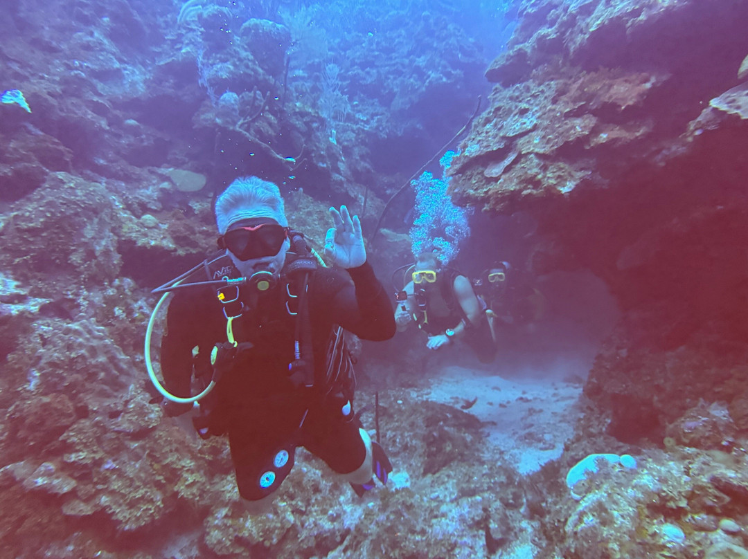 Living The Dream Divers-七哩滩必去景点