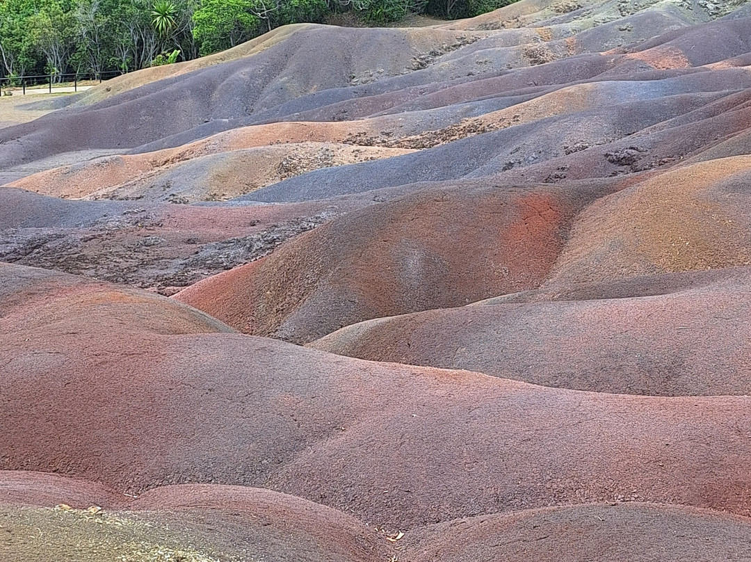 Nature Trails Mauritius-卡特勒博尔纳必去景点