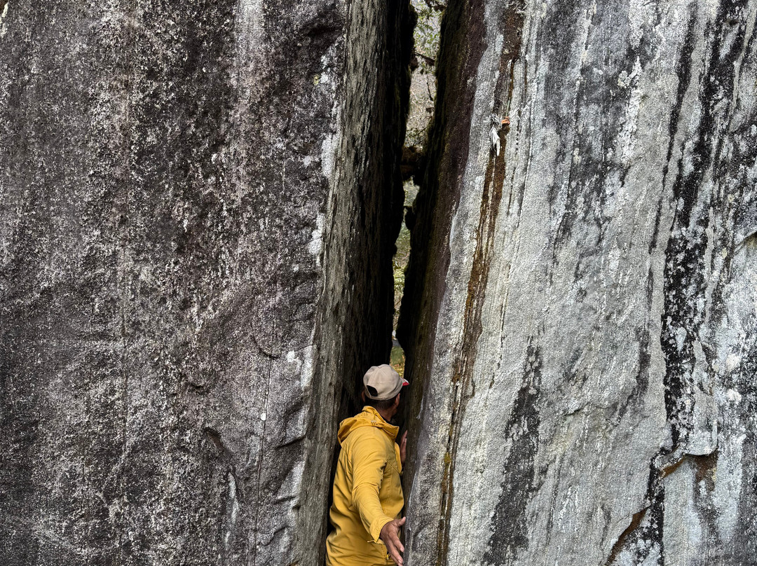 Mega Mount Trekking & Expedition-加德满都必去景点