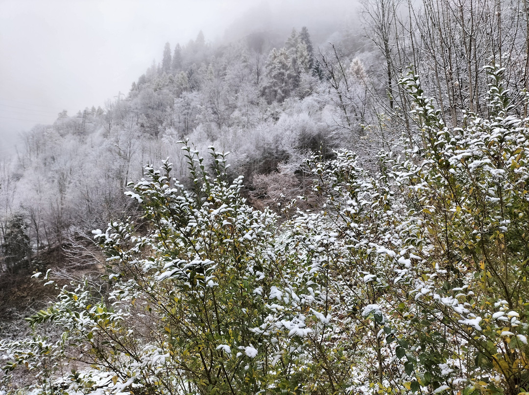 Cascata di Branzi-Branzi必去景点