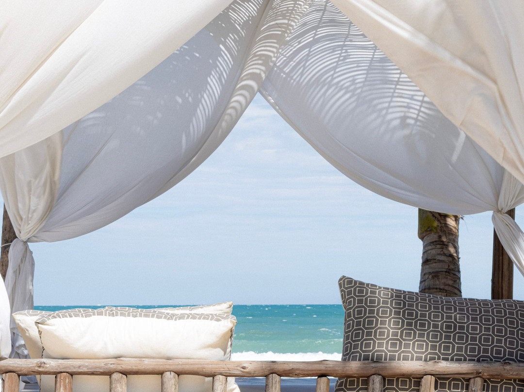 Island Center Point主图