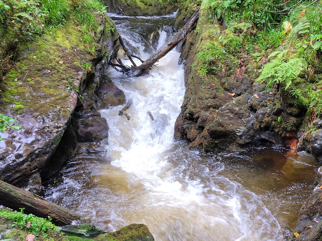 Vale of Rheidol Railway-阿伯里斯特威斯必去景点