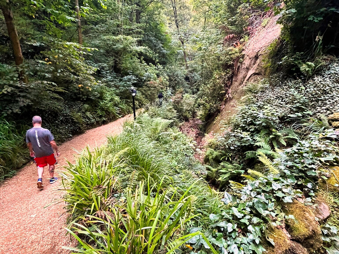 尚克林峡谷-尚克林必去景点