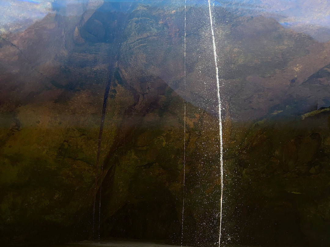 Turismo na Amazônia - Gruta da Judeia-Presidente Figueiredo必去景点