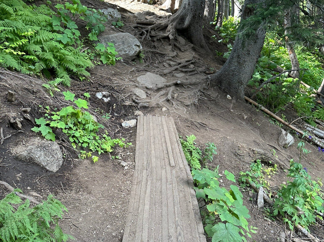 Red Pine Lake-帕克城必去景点