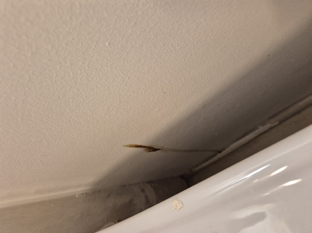 Harte & Garter Windsor