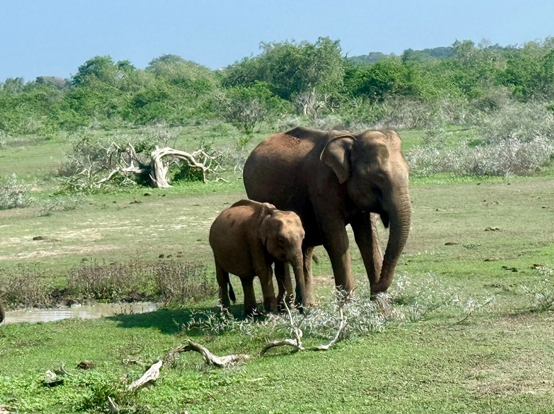 Sheya Tours-Ja Ela必去景点