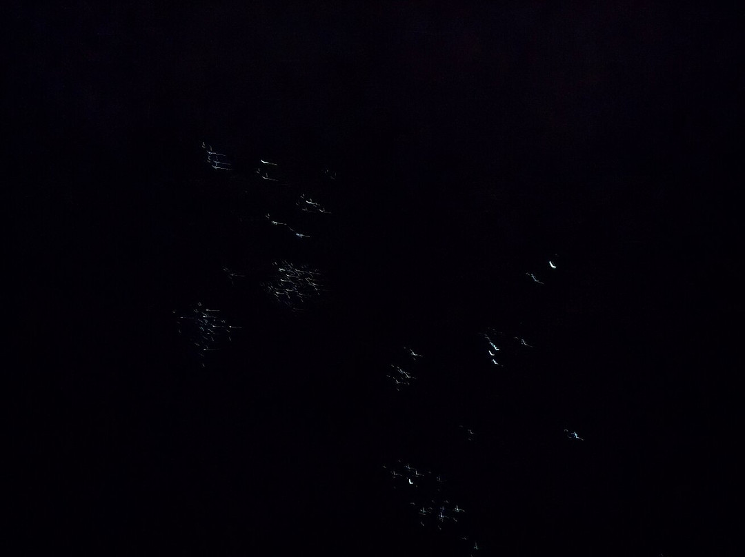 Footwhistle Glowworm Cave-怀托摩洞穴必去景点