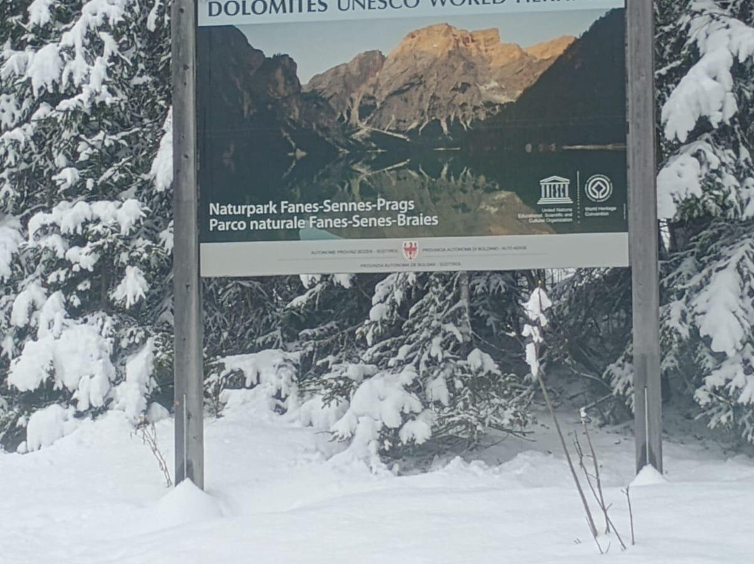 Venice Travels-麦斯特必去景点