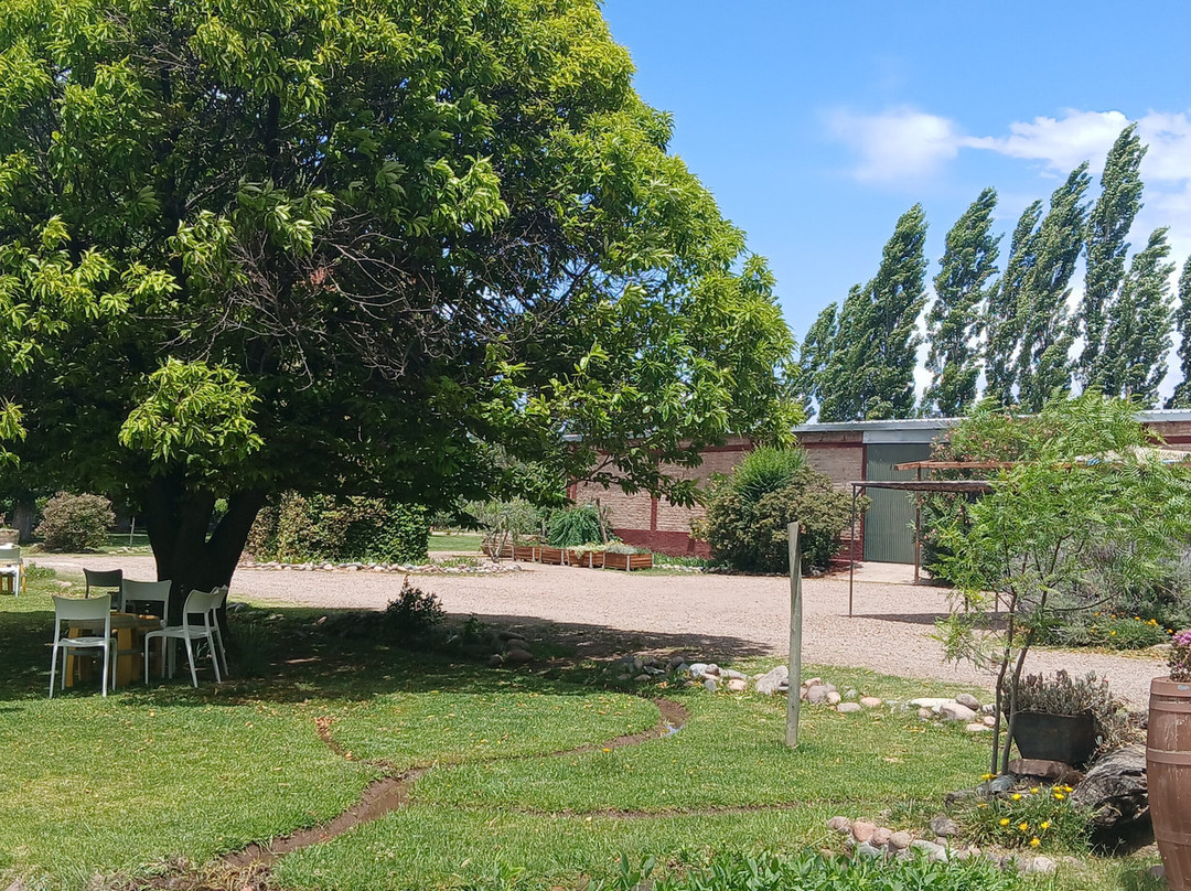 Bodega Hacienda del Plata-路冉得库约必去景点