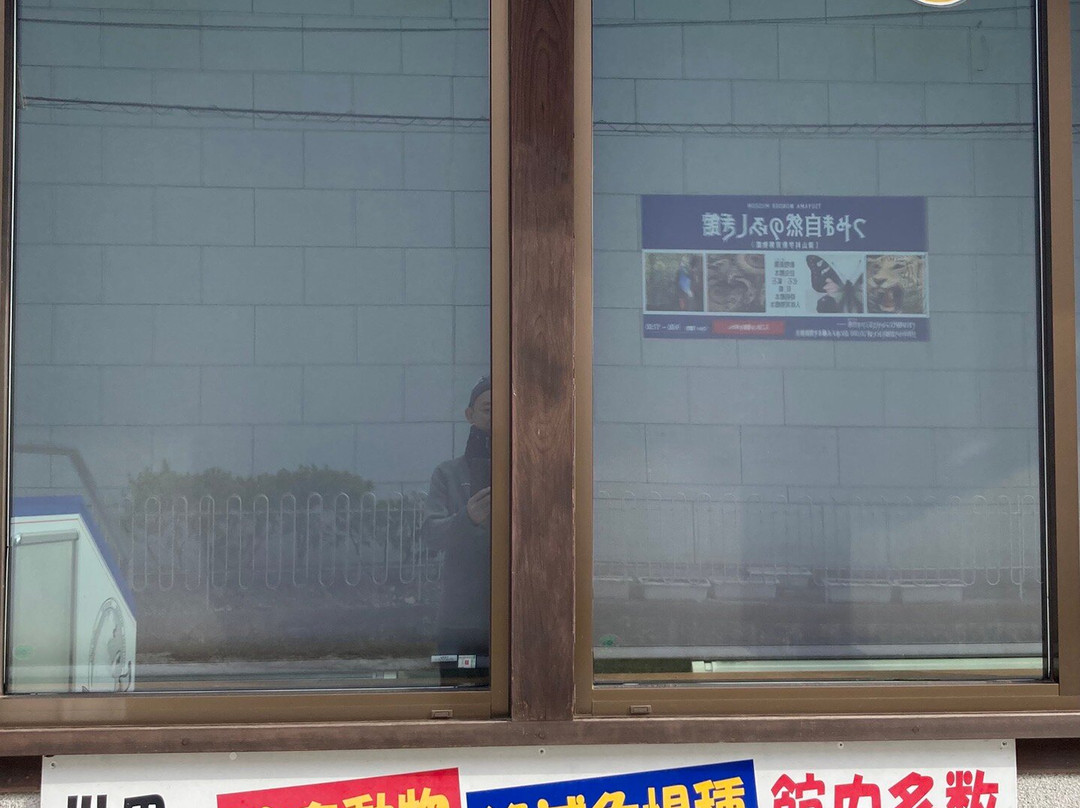 Tsuyama Nature & Mystery Museum-津山市必去景点