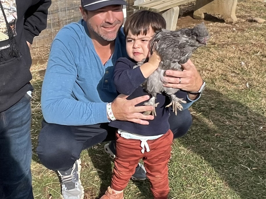 Winchester Creek Farm-韦恩斯维尔必去景点