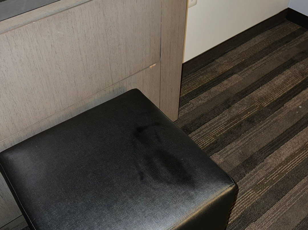 Hyatt House Dallas / Frisco主图