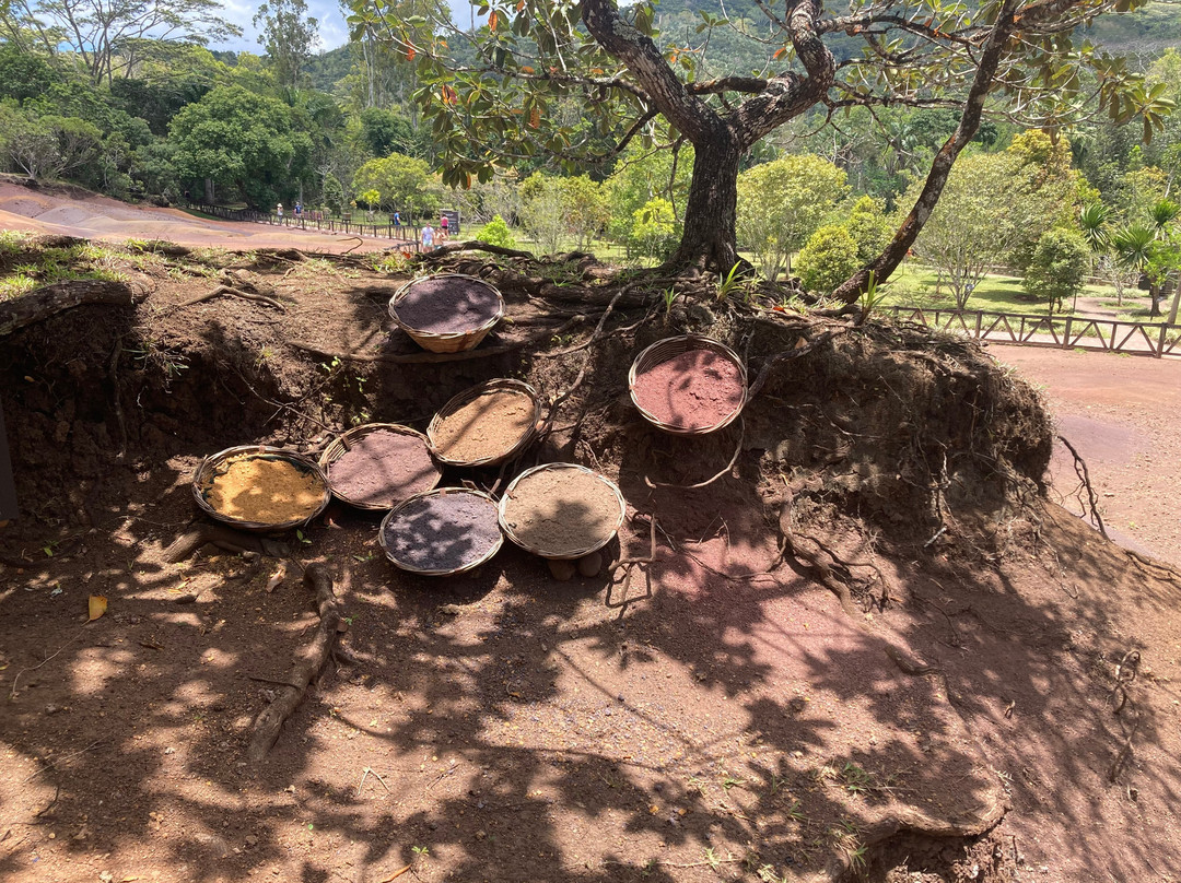 The Friendly Dodo-路易士港必去景点