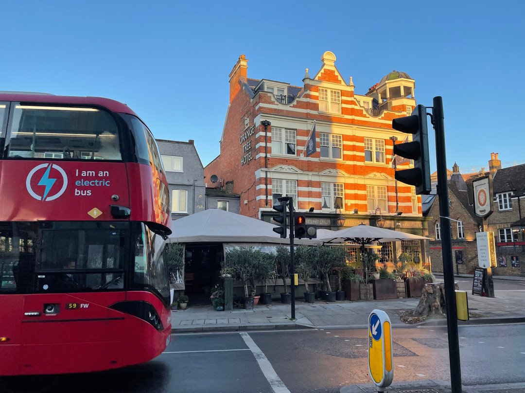 Orange Tree (Hotel)主图