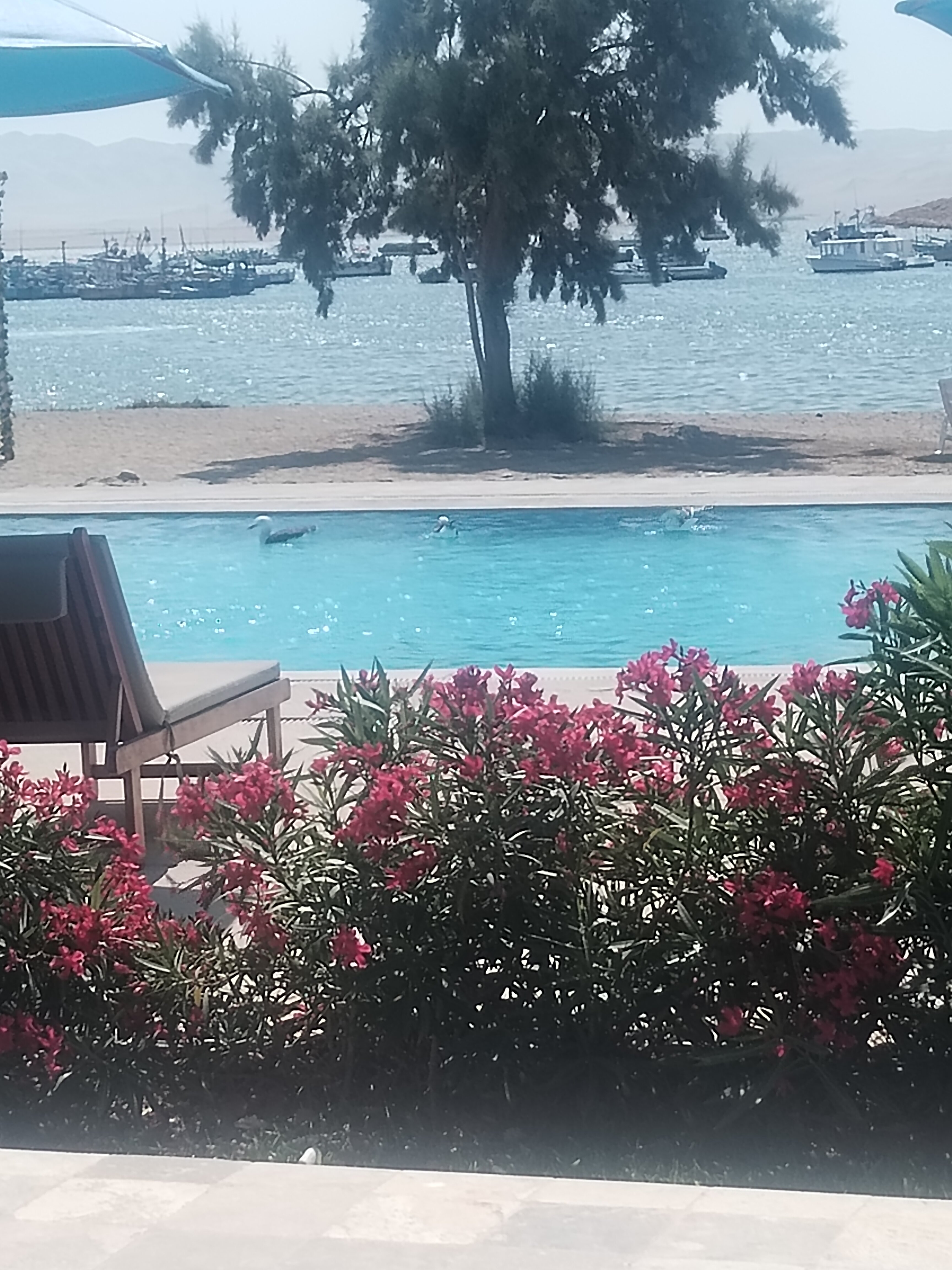 圣奥古斯丁帕拉卡斯酒店-官方