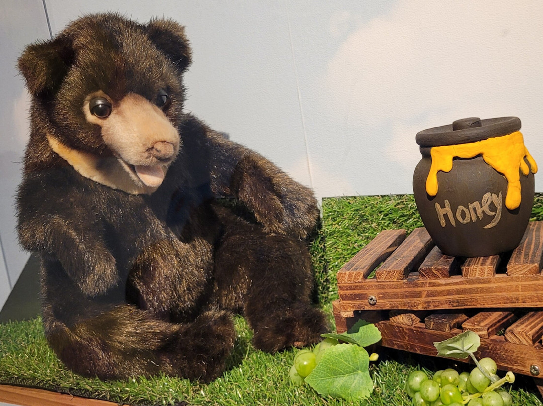 TeddyVille Museum-峇都丁宜必去景点