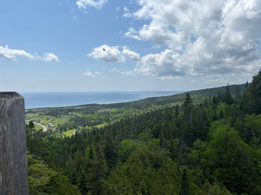 Boucle De La Forêt Magique