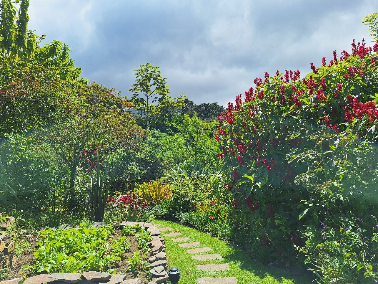 Hotel & Spa Poco a Poco Costa Rica-官方